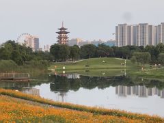 -洋湖国家湿地公园