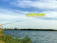 -漕湖湿地公园