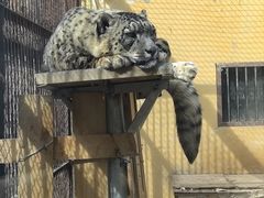 -青藏高原野生动物园