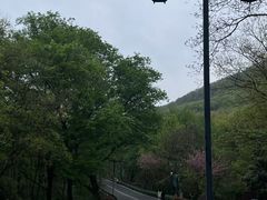 -句容茅山景区