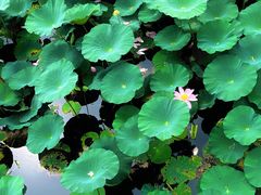 -长春市南湖公园