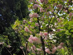 -四川大学(望江校区)