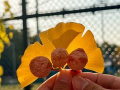 -长白岛森林公园