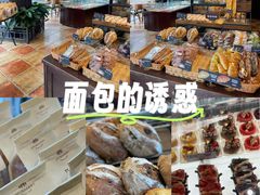 -红跑车(朝晖店)