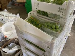 -马陆小张葡萄园农家乐