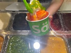 -Salud撒露欧洲冻酸奶(蓝色港湾店)