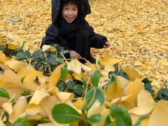 -四川大学(华西校区)