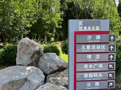 -东营·森林乐园