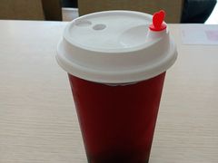 自制山楂乌梅汤-田老师红烧肉(上地二店)