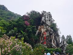 -星湖旅游景区七星岩