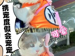 -上海第一八佰伴