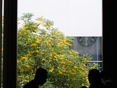 -星巴克臻选(深圳万象天地旗舰店)