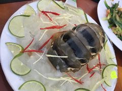 -越海渔村
