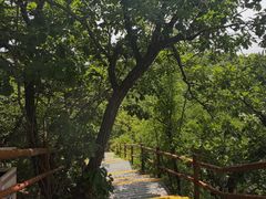 -大青沟风景区