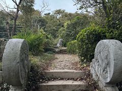 -雨花胜境
