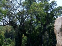 android_upload_pic-卡迈隆主题量贩式KTV(中百大厦店)