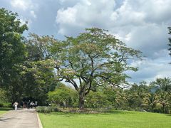 -中国科学院西双版纳热带植物园