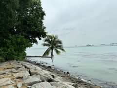 -巴拉湾海滩