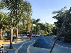 -宝安西湾红树林湿地公园