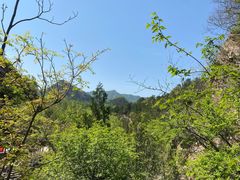 -仙居谷风景区