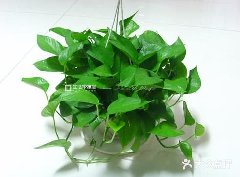 新房装修后多久入住才安全