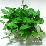 新房装修后多久入住才安全