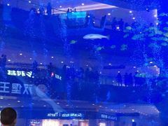 -成都浩海立方海洋公园