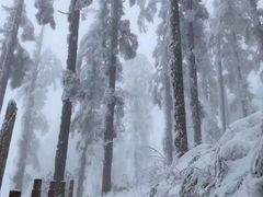 -瓦屋山景区