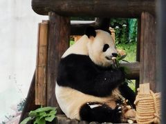 -无锡动物园·太湖欢乐园