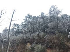 -江南天池高山汤泉城