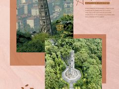 -上海佘山国家森林公园天马山园