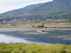 -腾冲北海湿地