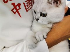 -佳怡动物医院·平价24小时·猫专科骨外科