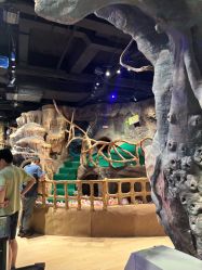 -探洞工场(丰科万达旗舰店)