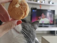 -東更道点心行(文化东路店)