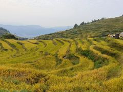 -紫鹊界梯田景区