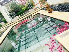 -苏州湾王焰温泉度假酒店
