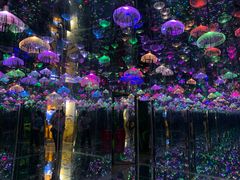 -梵高星空艺术馆(北京旗舰店)