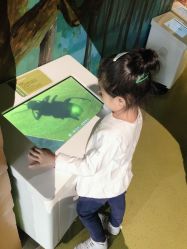 -北京科学中心儿童乐园