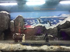 -梦幻海洋王国(吾悦广场张家港店)