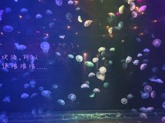 -南昌融创海世界