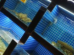 -徽三说·土徽菜·中国徽菜连锁品牌(一中店)