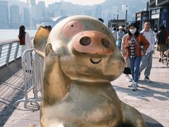-星光大道