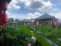 -醉香隆.山水庭院.湖北菜(东湖店)