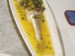 -老绍兴养和饭店(向阳不夜城店)