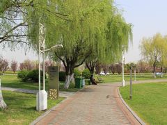 -九里河湿地公园