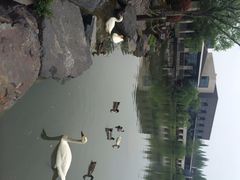 怡沁园度假村-上海怡沁园度假酒店