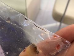 -泰康拜博口腔(世博园乐尔店)