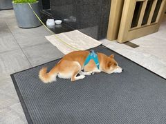 -贵厨酸汤牛肉(花果园国际中心店)
