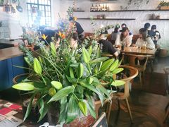 -Apollo·西班牙小酒馆(安福路店)